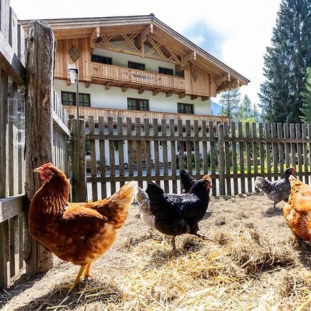 Walchauhof Otel Flachau Dış mekan fotoğraf