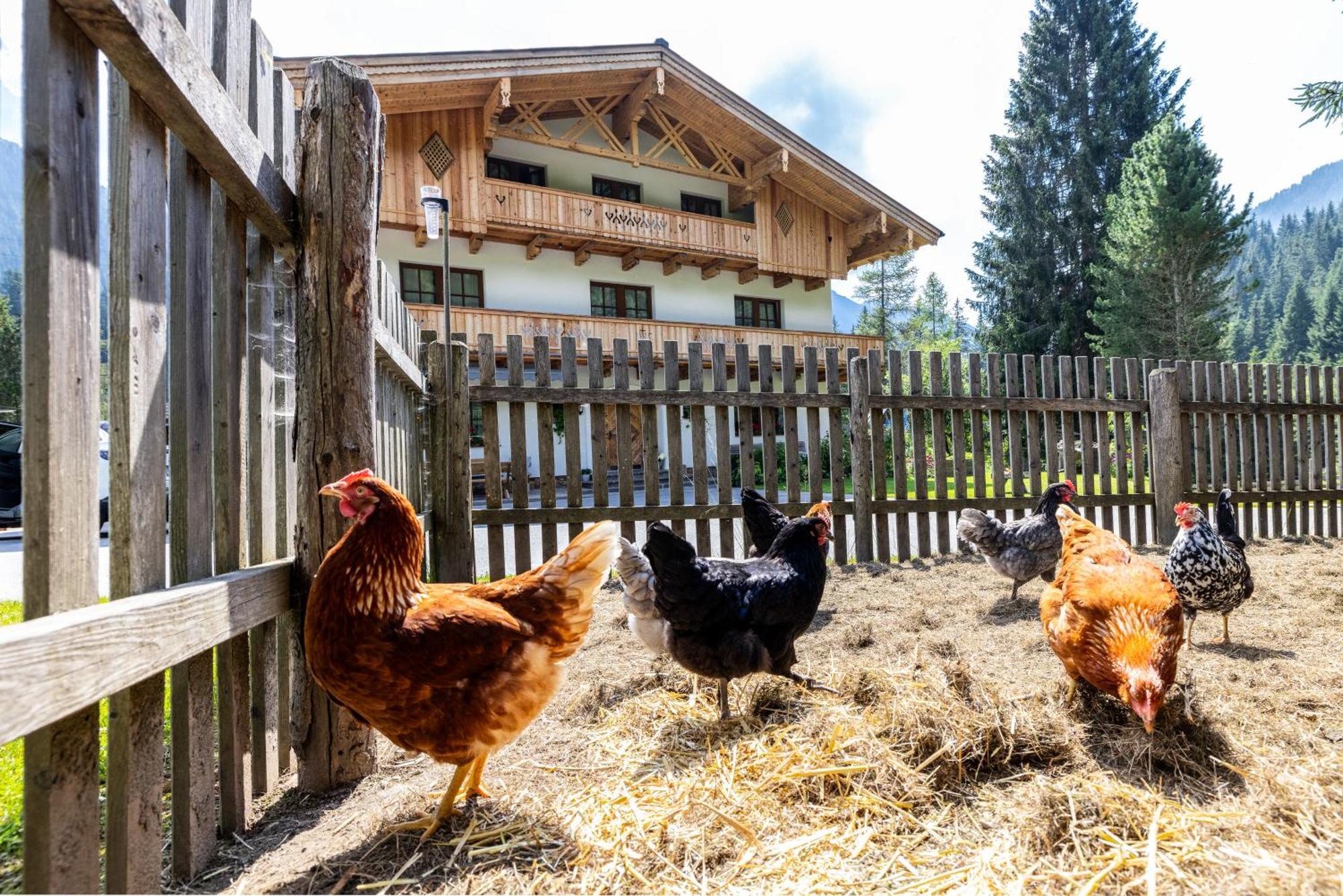 Walchauhof Otel Flachau Dış mekan fotoğraf