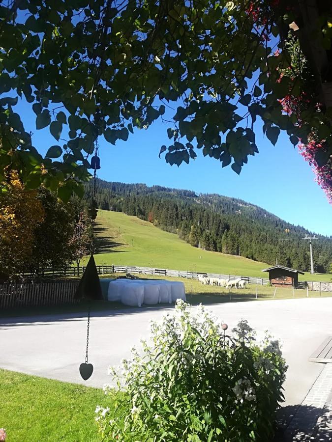Walchauhof Otel Flachau Dış mekan fotoğraf