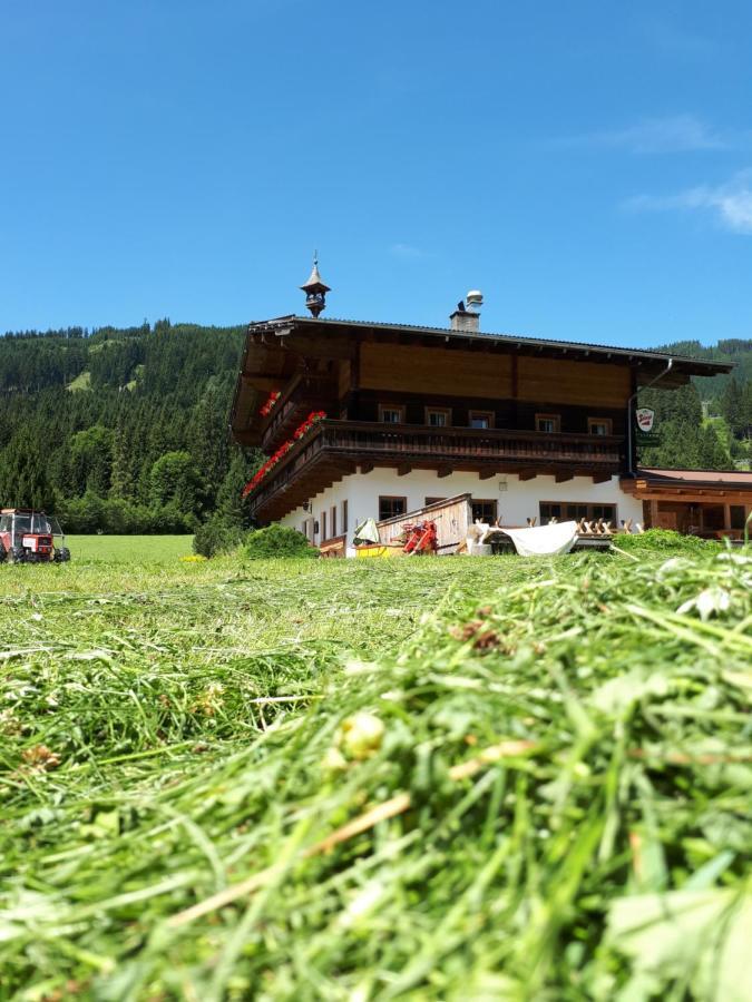 Walchauhof Otel Flachau Dış mekan fotoğraf