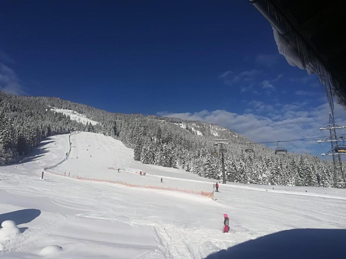Walchauhof Otel Flachau Dış mekan fotoğraf