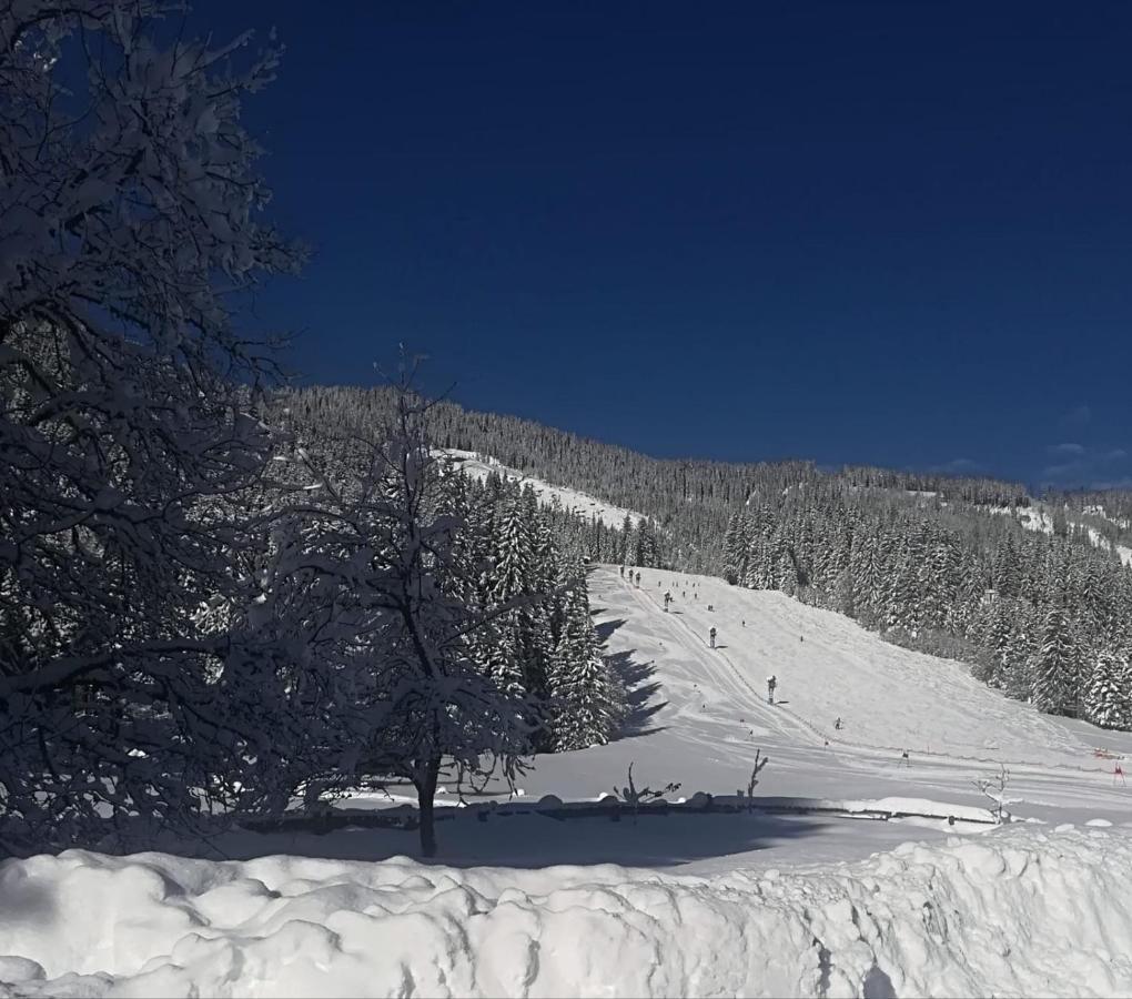 Walchauhof Otel Flachau Dış mekan fotoğraf