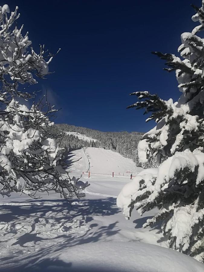 Walchauhof Otel Flachau Dış mekan fotoğraf